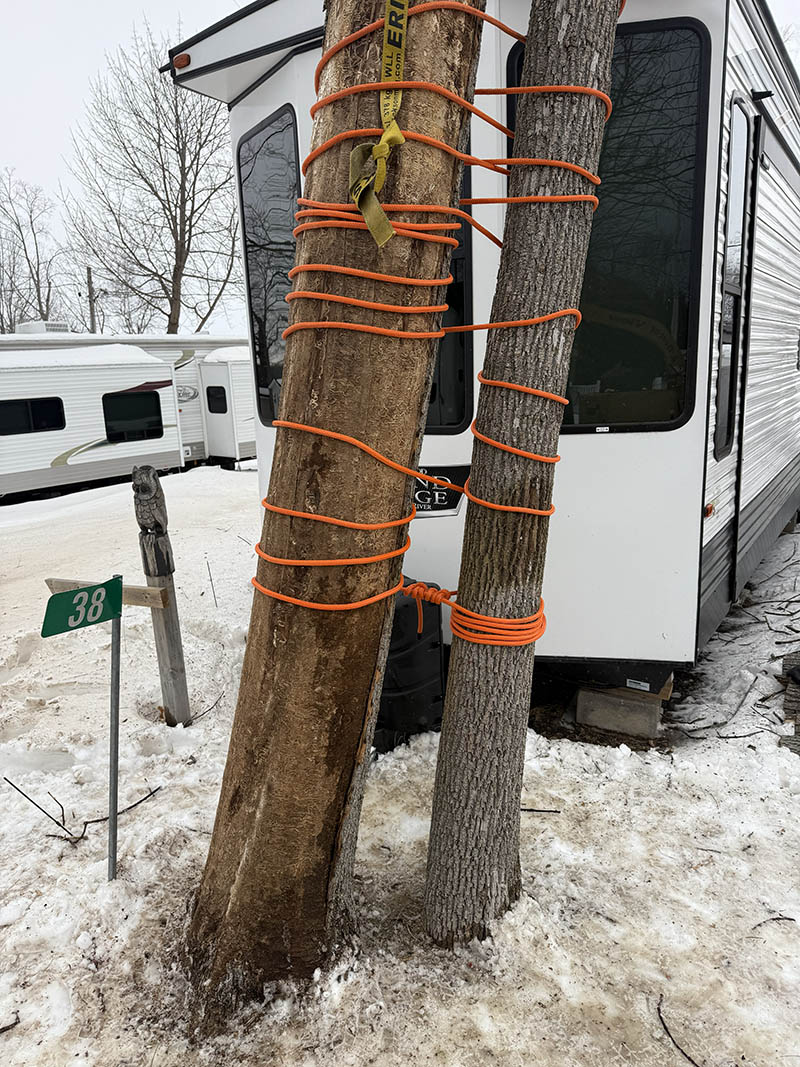 Cabling and Bracing to ensure no damage to buildings